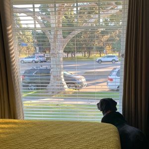 Meet your Posher, Audra